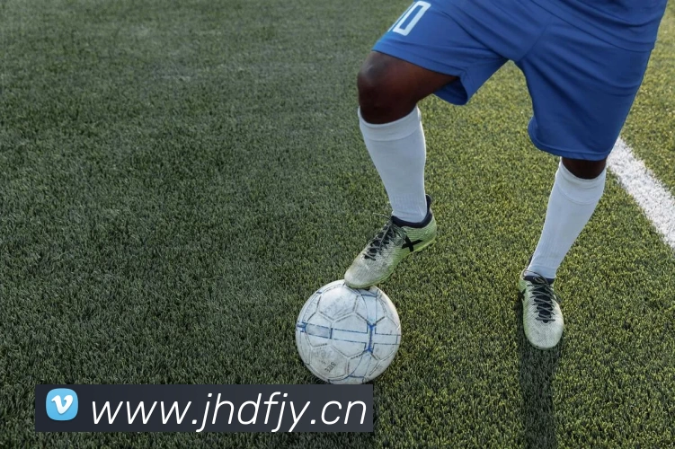 App Interface Preview